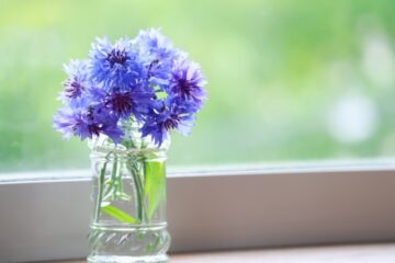 心にゆとりがなくなっていたと気づいた