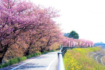 【新任教員】「私にできるかな…」4月からの不安を期待に変える心の準備vol.106